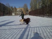 Превью фото № 175810