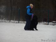 Превью фото № 175888