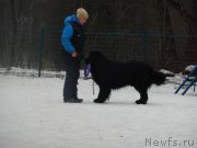 Превью фото № 175889