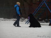 Превью фото № 175891