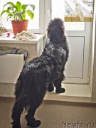 Превью фото № 175903