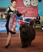 Превью фото № 175983