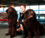 Превью фото № 175984