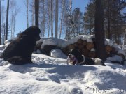 Превью фото № 175989