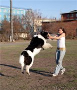 Превью фото № 175990