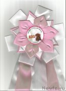 Превью фото № 175991