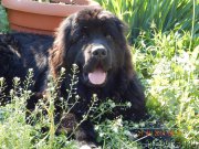 Превью фото № 175997