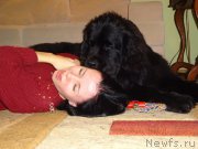 Превью фото № 176002