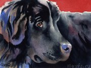 Превью фото № 176018