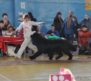 Превью фото № 176061