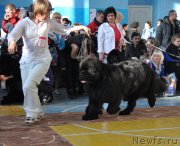 Превью фото № 176063