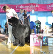 Превью фото № 176071