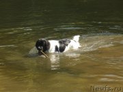 Превью фото № 176077