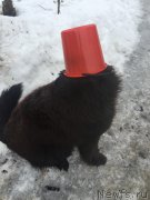 Превью фото № 176147