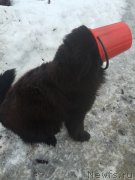 Превью фото № 176148