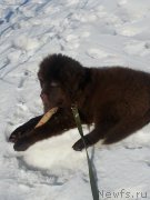 Превью фото № 176155