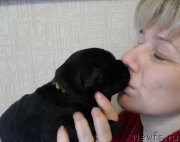 Превью фото № 176170