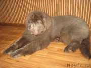 Превью фото № 176182