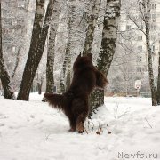 Превью фото № 176206