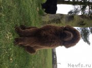 Превью фото № 176227