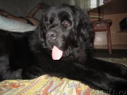 Превью фото № 176232