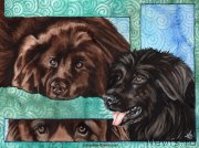 Превью фото № 176241