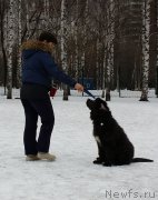 Превью фото № 176298