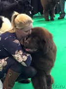 Превью фото № 176326