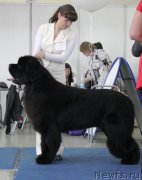 Превью фото № 176433