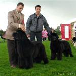 Превью фото № 17650