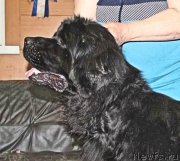 Превью фото № 176573