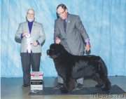 Превью фото № 176582