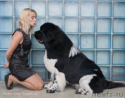 Превью фото № 176616