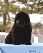 Превью фото № 176677