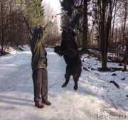 Превью фото № 176686