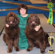 Превью фото № 176737