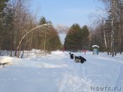 Превью фото № 176833