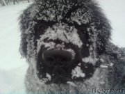 Превью фото № 176919