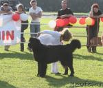 Превью фото № 17694