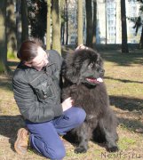 Превью фото № 176958