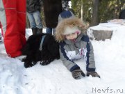 Превью фото № 176979