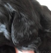 Превью фото № 177106