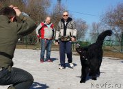 Превью фото № 177112