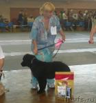 Превью фото № 17719