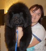 Превью фото № 177280