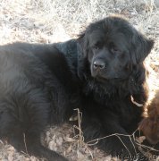 Превью фото № 177284