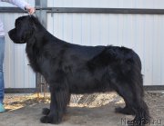 Превью фото № 177293