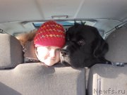 Превью фото № 177313