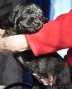 Превью фото № 177319