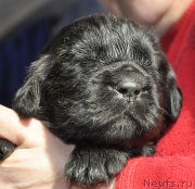 Превью фото № 177351